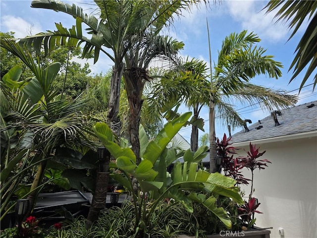 2774 Sawtelle Blvd, Los Angeles, CA 90064 - exterior view of stucco siding and a shingled roof