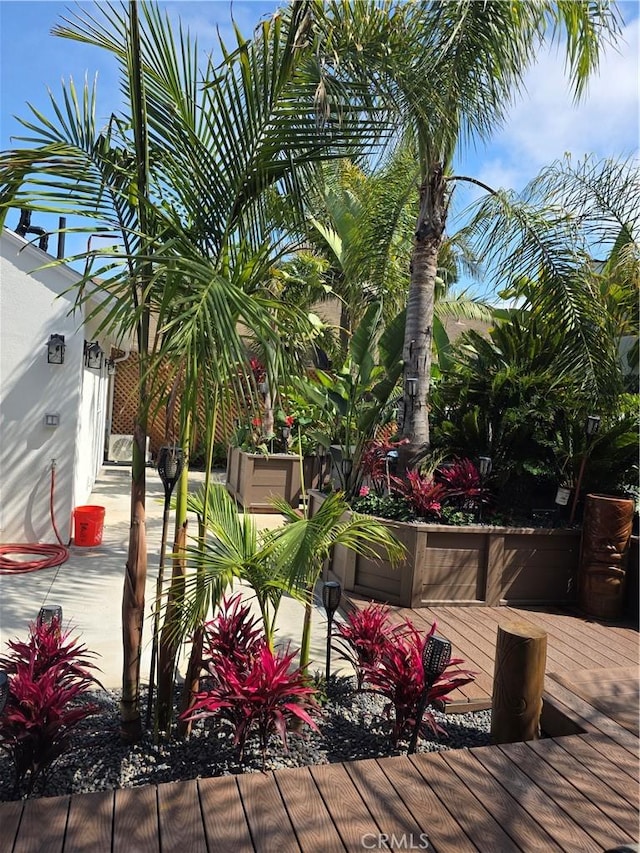 2774 Sawtelle Blvd, Los Angeles, CA 90064 - view of wooden terrace
