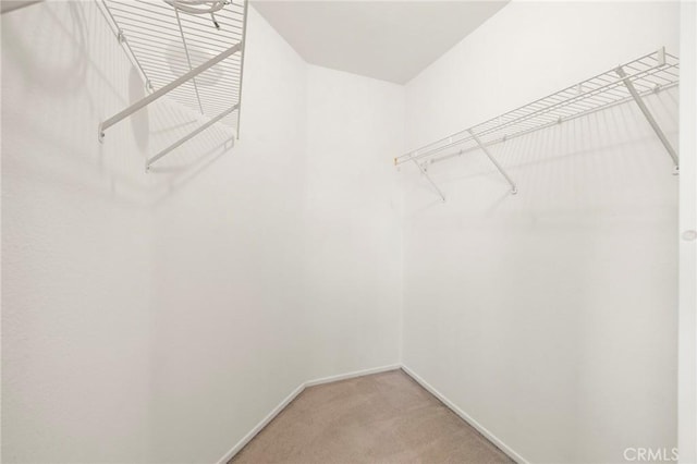 33087 Corte Ganso, Temecula, CA 92592 - walk in closet with light carpet