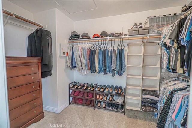 26511 Brooks Cir, Stevenson Ranch, CA 91381 - walk in closet with carpet