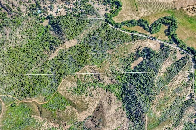 6675 Scotts Valley Rd, Lakeport, CA 95453 - photo 28