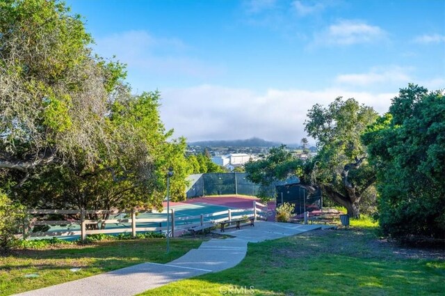 247 Oakwood Ct, Arroyo Grande, CA 93420 - surrounding community