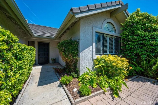 247 Oakwood Ct, Arroyo Grande, CA 93420 - doorway to property with stucco siding and a patio area