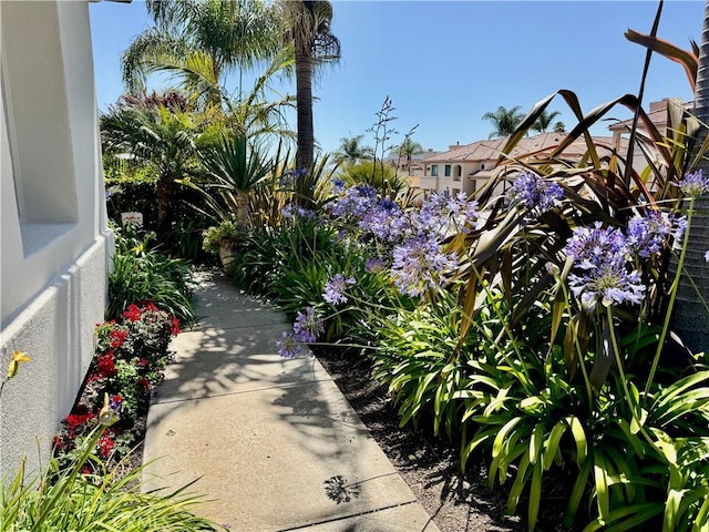 137 Beachcomber Dr, Pismo Beach, CA 93449 - photo 53