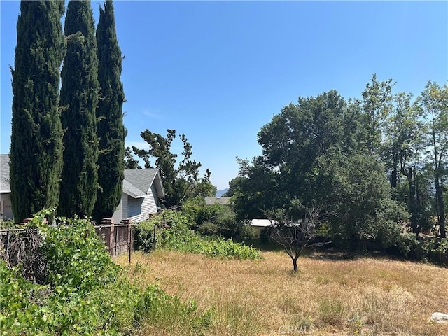 3040 Gertrude Ave, La Crescenta, CA 91214 - view of yard