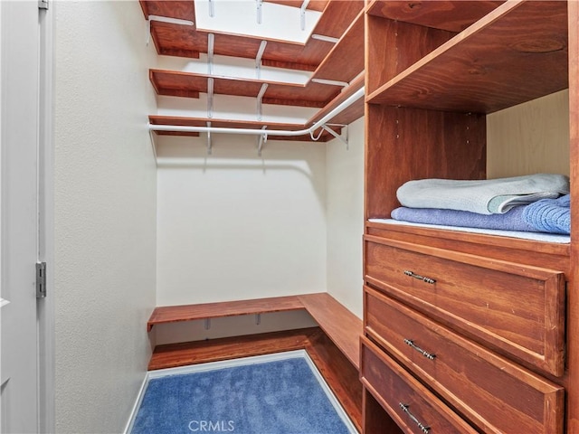 22905 Las Mananitas Dr, Valencia, CA 91354 - view of walk in closet