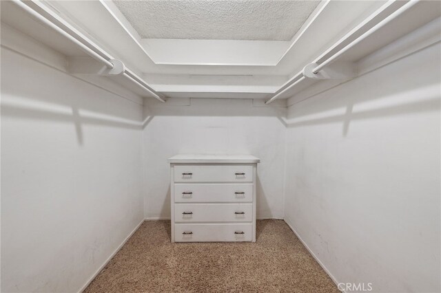 12429 Baker Ave, Chino, CA 91710 - view of spacious closet