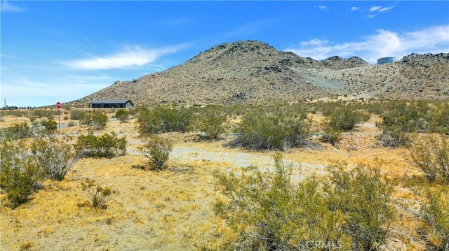 19767 Roanoke Rd, Apple Valley, CA 92307 - photo 15