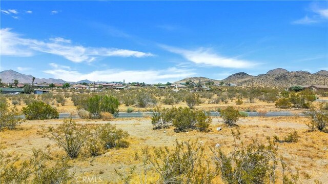 19767 Roanoke Rd, Apple Valley, CA 92307 - photo 14