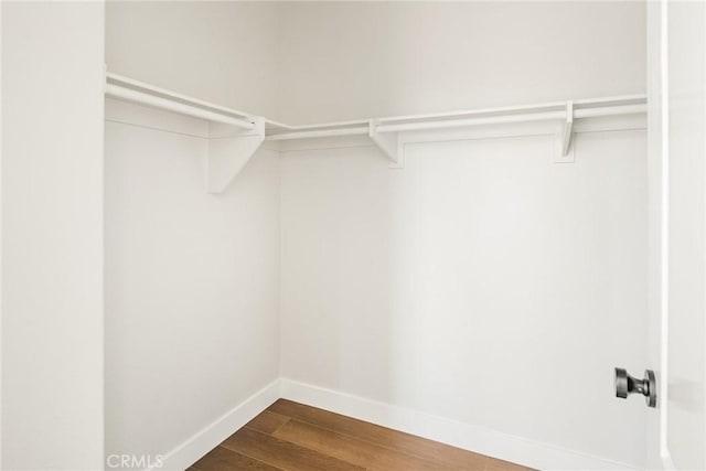 967 Strawberry Creek St, Chula Vista, CA 91913 - spacious closet with dark wood-style flooring