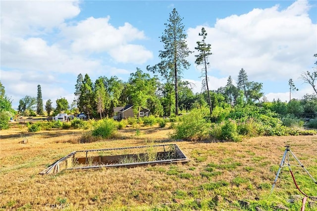 1340 Jeannie Ln, Paradise, CA 95969 - view of yard