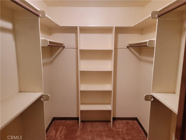 15440 Cactus St, Hesperia, CA 92345 - walk in closet featuring carpet flooring