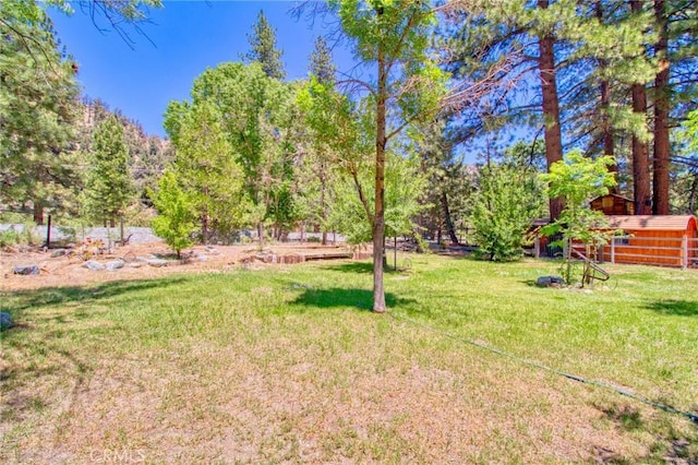 960 Snowbird Rd, Wrightwood, CA 92397 - view of grassy yard featuring an outbuilding