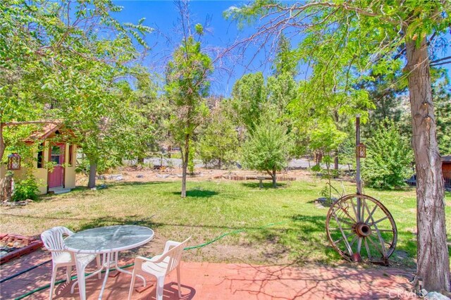 960 Snowbird Rd, Wrightwood, CA 92397 - photo 43