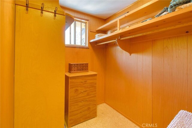 960 Snowbird Rd, Wrightwood, CA 92397 - spacious closet featuring carpet