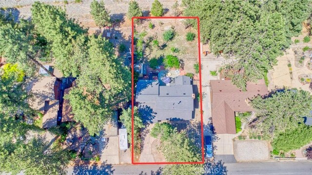 960 Snowbird Rd, Wrightwood, CA 92397 - photo 70