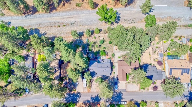 960 Snowbird Rd, Wrightwood, CA 92397 - photo 58