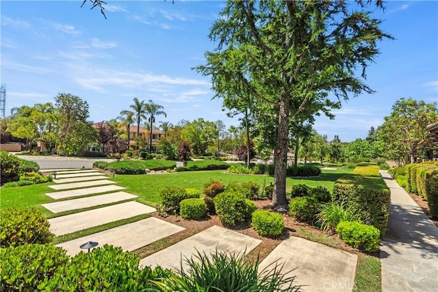 949 Moody Pl, Claremont, CA 91711 - view of home's community with a lawn