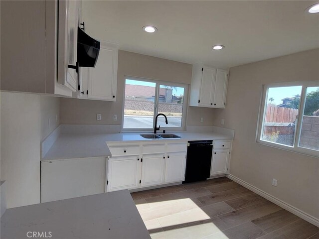 955 Mill Iron Way, San Jacinto, CA 92583 - kitchen featuring dishwasher, healthy amount of natural light, recessed lighting, and light countertops