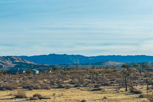 2654 Olympic Rd, Joshua Tree, CA 92252 - view of mountain backdrop