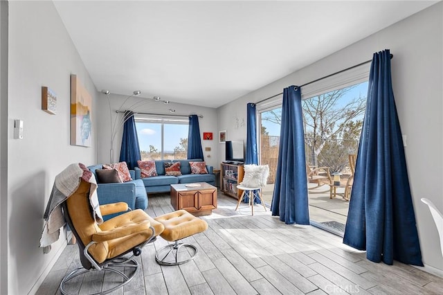 2654 Olympic Rd, Joshua Tree, CA 92252 - living area with light wood-style flooring and healthy amount of natural light