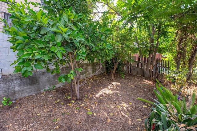 1186 Buelah Ave, City Terrace, CA 90063 - view of yard