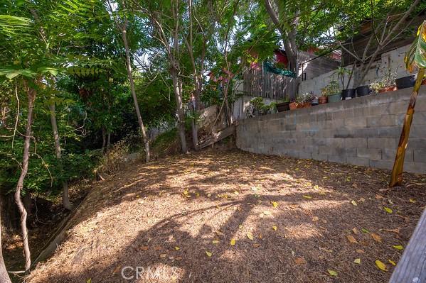 1186 Buelah Ave, City Terrace, CA 90063 - view of yard