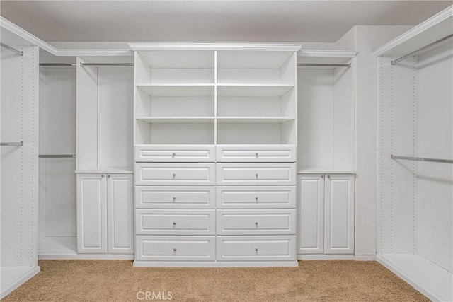 1802 Pummelo Dr, Redlands, CA 92374 - walk in closet with light carpet
