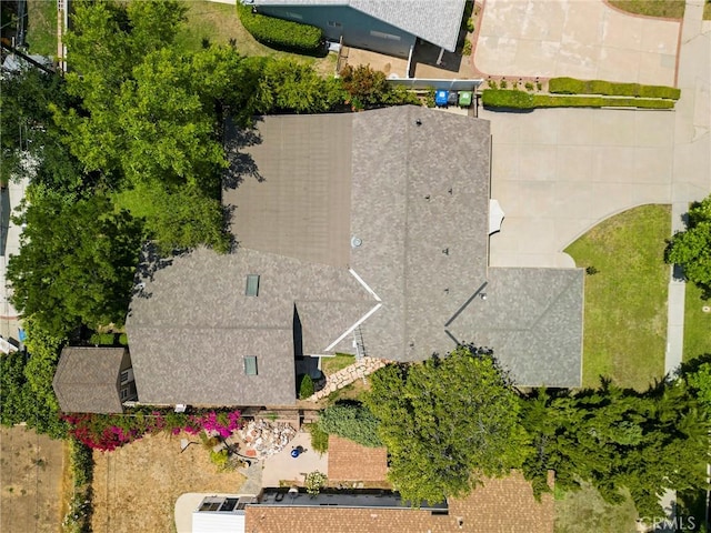13815 Lexicon Ave, Sylmar, CA 91342 - view of subject property