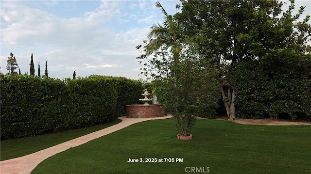 19910 Tennessee Trl, Walnut, CA 91789 - view of green lawn