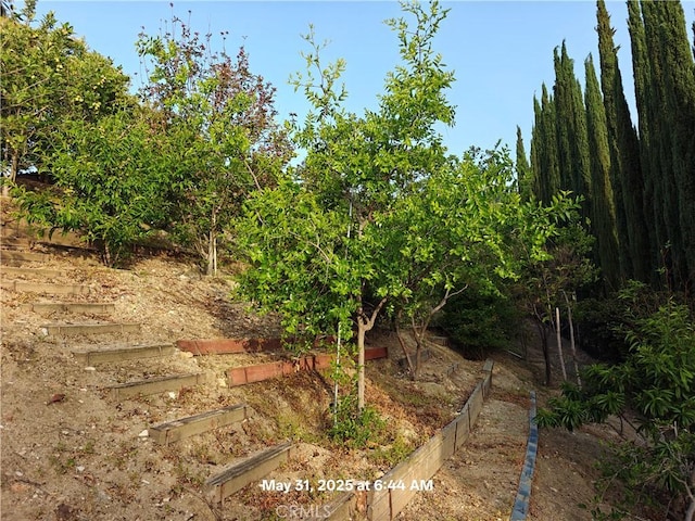 19910 Tennessee Trl, Walnut, CA 91789 - photo 24