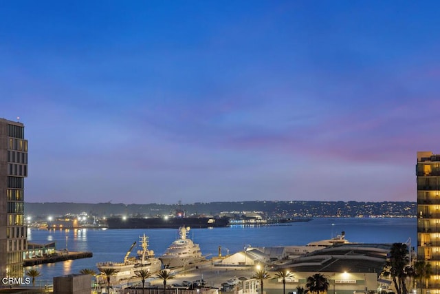 1205 Pacific Hwy Unit 1005, San Diego, CA 92101 - water view with nearby urban area