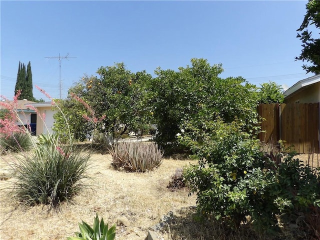 18735 Knapp St, Northridge, CA 91324 - view of yard
