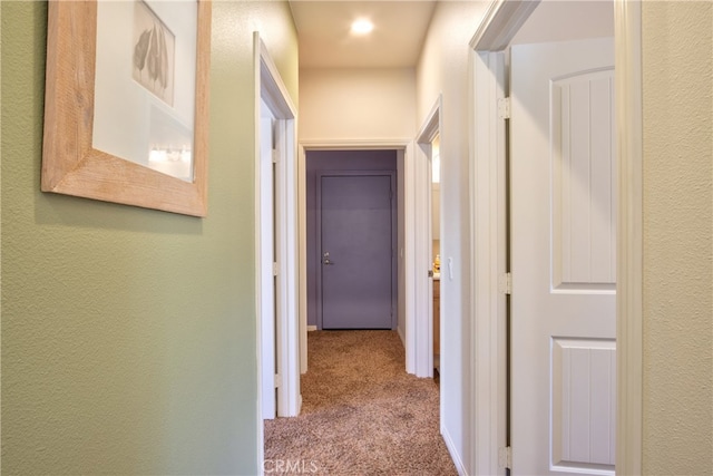 42768 El Calamar Rd, Temecula, CA 92590 - corridor with carpet flooring and a textured wall