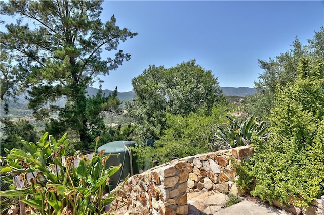 39435 De Luz Rd, Fallbrook, CA 92028 - photo 26