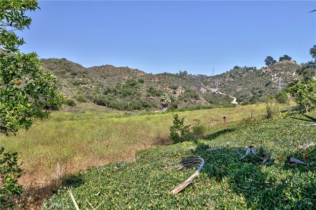 39435 De Luz Rd, Fallbrook, CA 92028 - photo 27