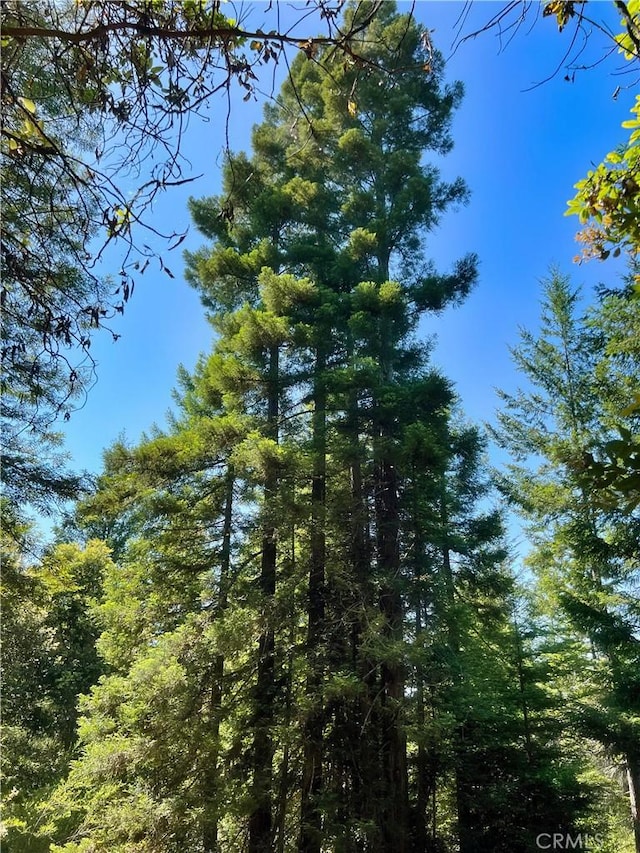 5801 Flynn Creek Rd, Comptche, CA 95427