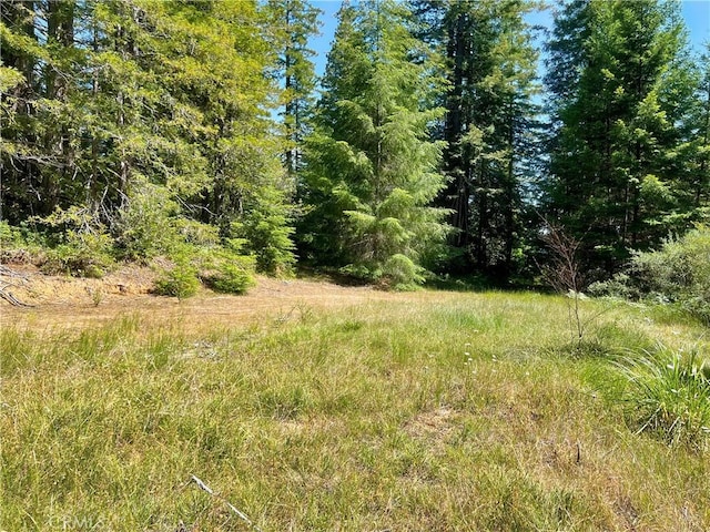5801 Flynn Creek Rd, Comptche, CA 95427