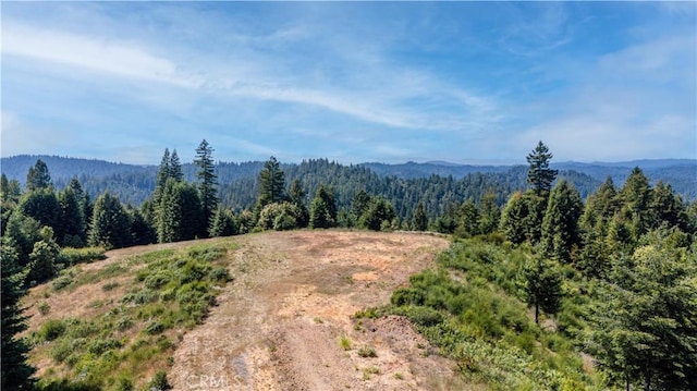 5801 Flynn Creek Rd, Comptche, CA 95427 - photo 4