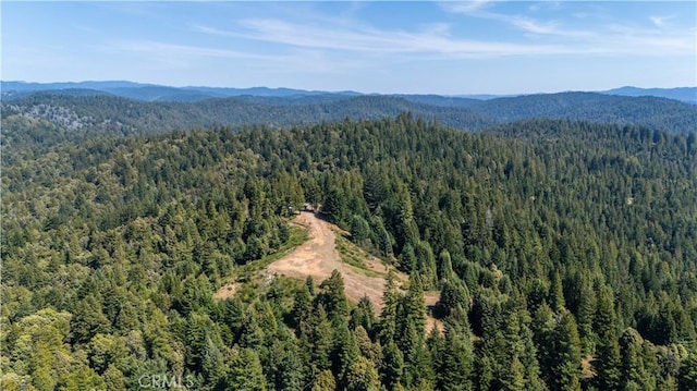 5801 Flynn Creek Rd, Comptche, CA 95427 - photo 17