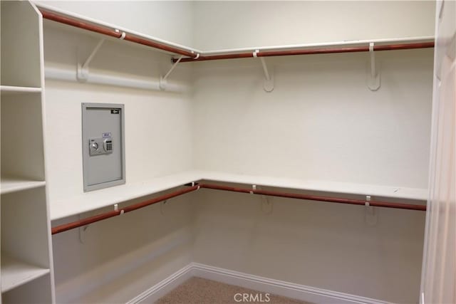 1573 Maple Valley St, Manteca, CA 95336 - spacious closet with electric panel