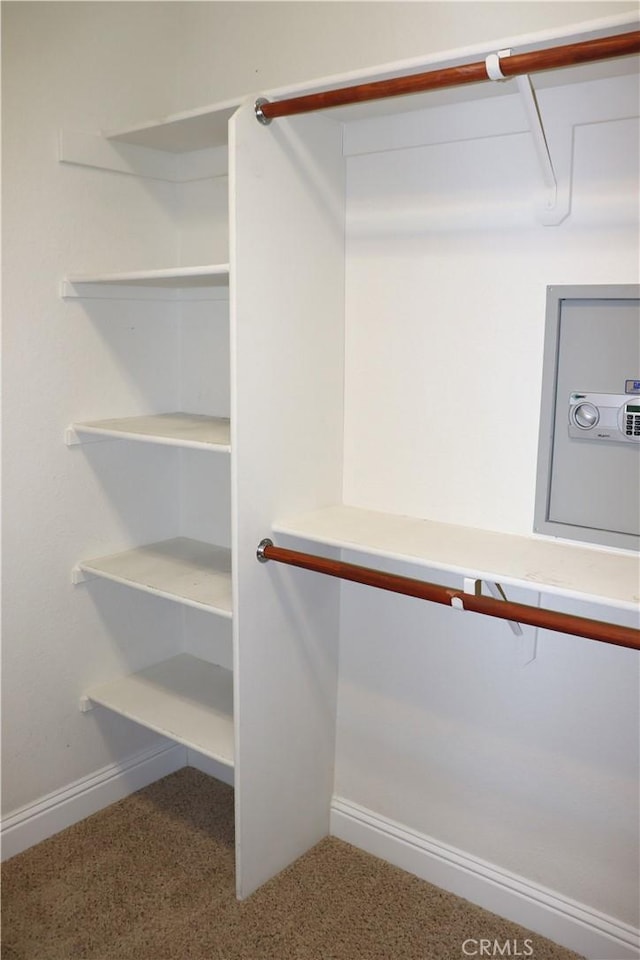 1573 Maple Valley St, Manteca, CA 95336 - view of walk in closet
