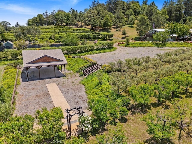 2645 Apple Ln, Julian, CA 92036 - bird's eye view