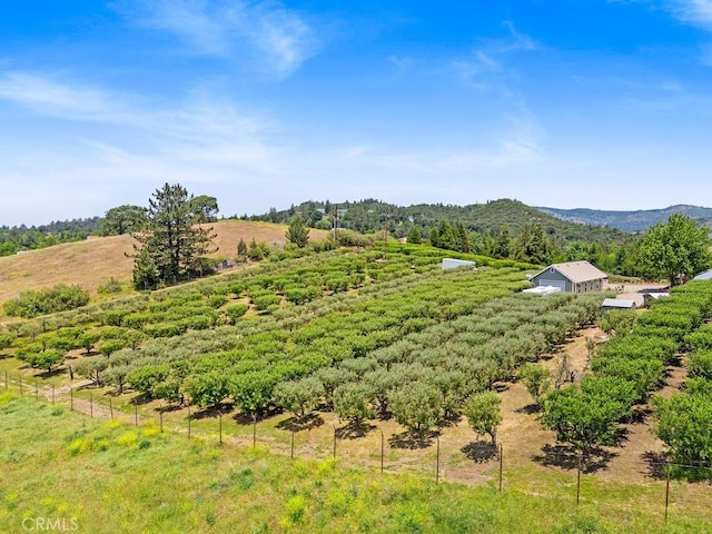 2645 Apple Ln, Julian, CA 92036 - view of mountain background with rural landscape
