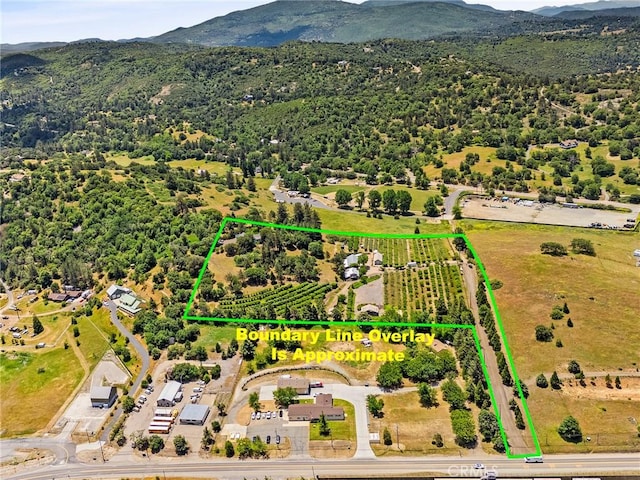 2645 Apple Ln, Julian, CA 92036 - aerial view of sparsely populated area with a mountain backdrop and property parcel outlined