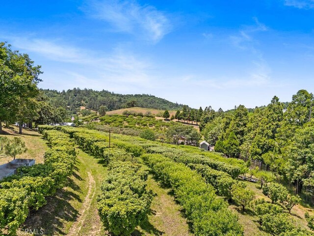 2645 Apple Ln, Julian, CA 92036 - view of mountain backdrop