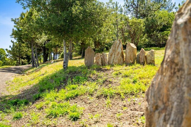 2645 Apple Ln, Julian, CA 92036 - view of yard