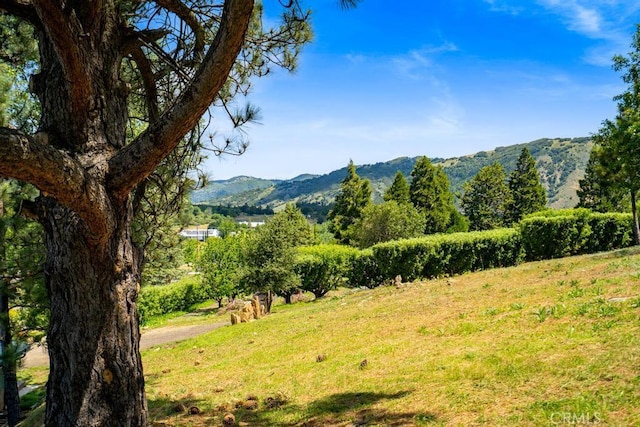 2645 Apple Ln, Julian, CA 92036 - view of mountain backdrop