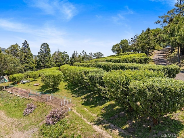 2645 Apple Ln, Julian, CA 92036 - view of yard with a rural view