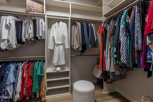 13115 Monarch Palm Ave, Bakersfield, CA 93314 - walk in closet with wood finished floors